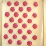 macarons mûre