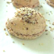 macarons noisettes