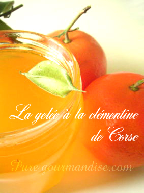 gel&eacute;e &agrave; la cl&eacute;mentine de corse