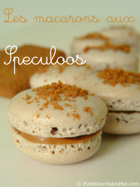 macarons aus speculoos