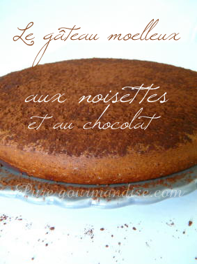 gateau moelleux noisettes chocolat