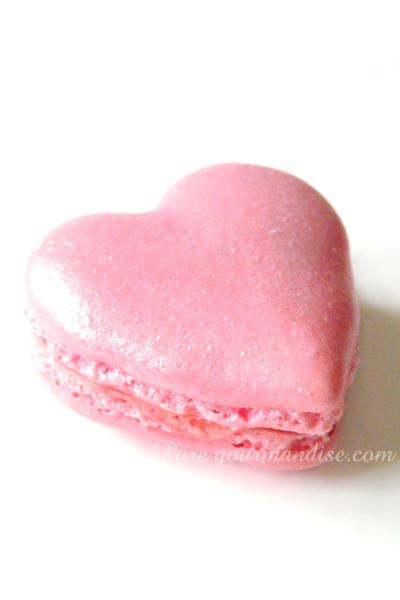 Macarons aux biscuits roses de Reims - www.puregourmandise.com