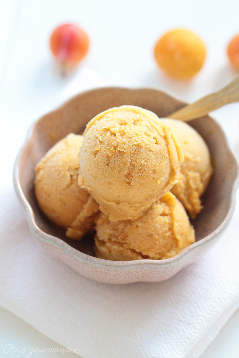 Sorbet aux mirabelles à la vanille - Pure Gourmandise