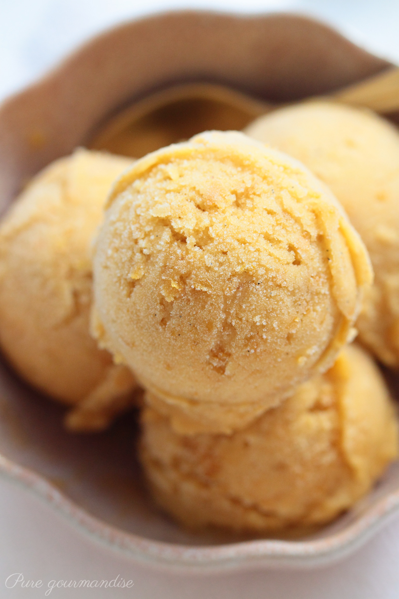Sorbet aux mirabelles à la vanille - Pure Gourmandise