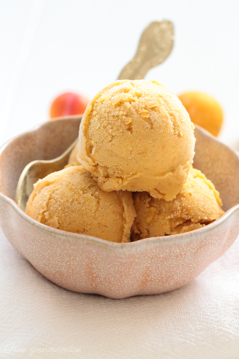 Sorbet aux mirabelles à la vanille - Pure Gourmandise